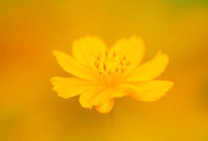 �q�[�����O�@�I�����W